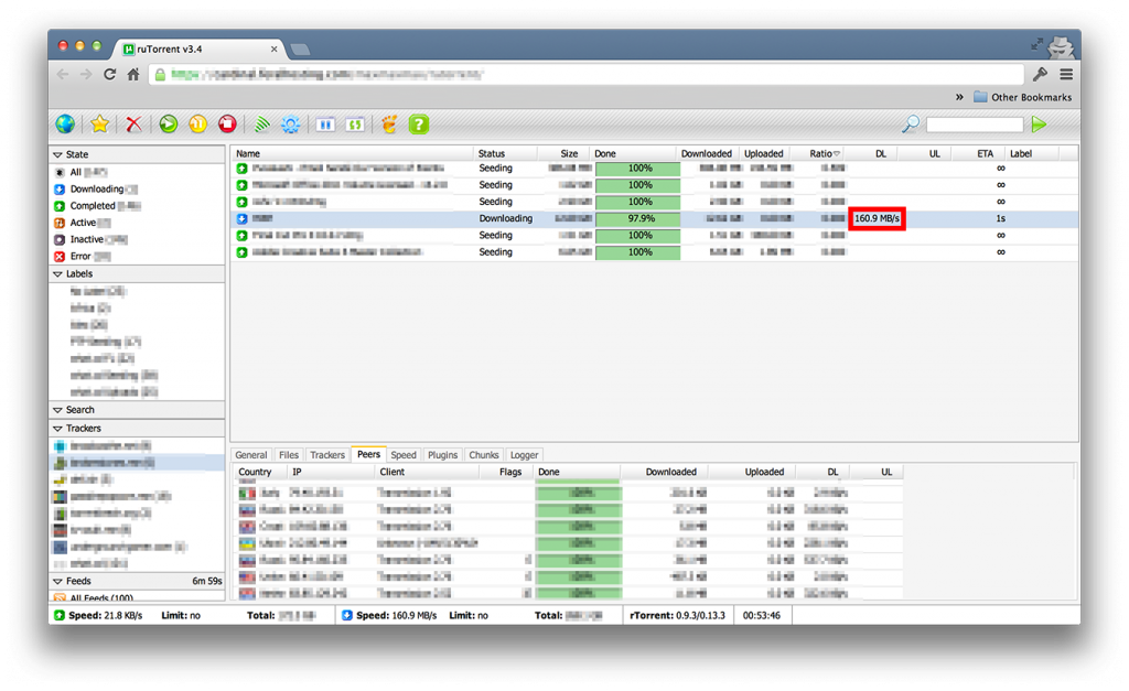 Wondering 'What is a seedbox?' This is a screenshot of a Seedbox downloading at 100MB/s