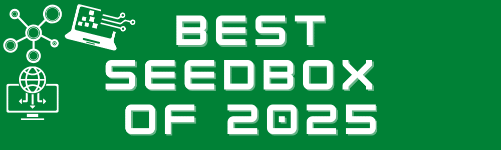 best seedbox of 2025